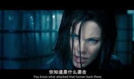 欧洲大片在线观看,在线观影指南