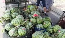 贵阳娱乐吃瓜事件真相是真的吗,真相揭秘，还原事件始末